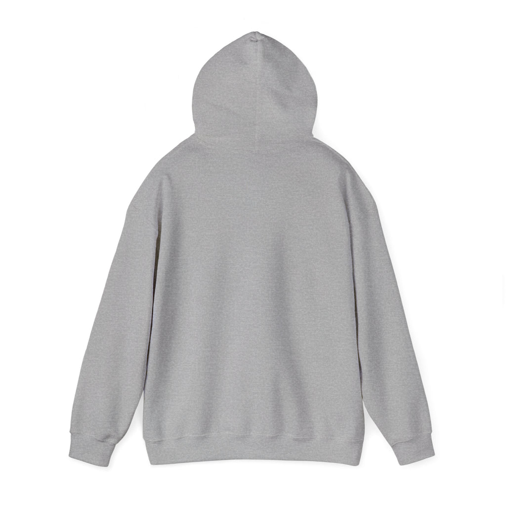 Faith & Freedom Patriotic Hoodie | Faith-based July 4th, Vintage Americana