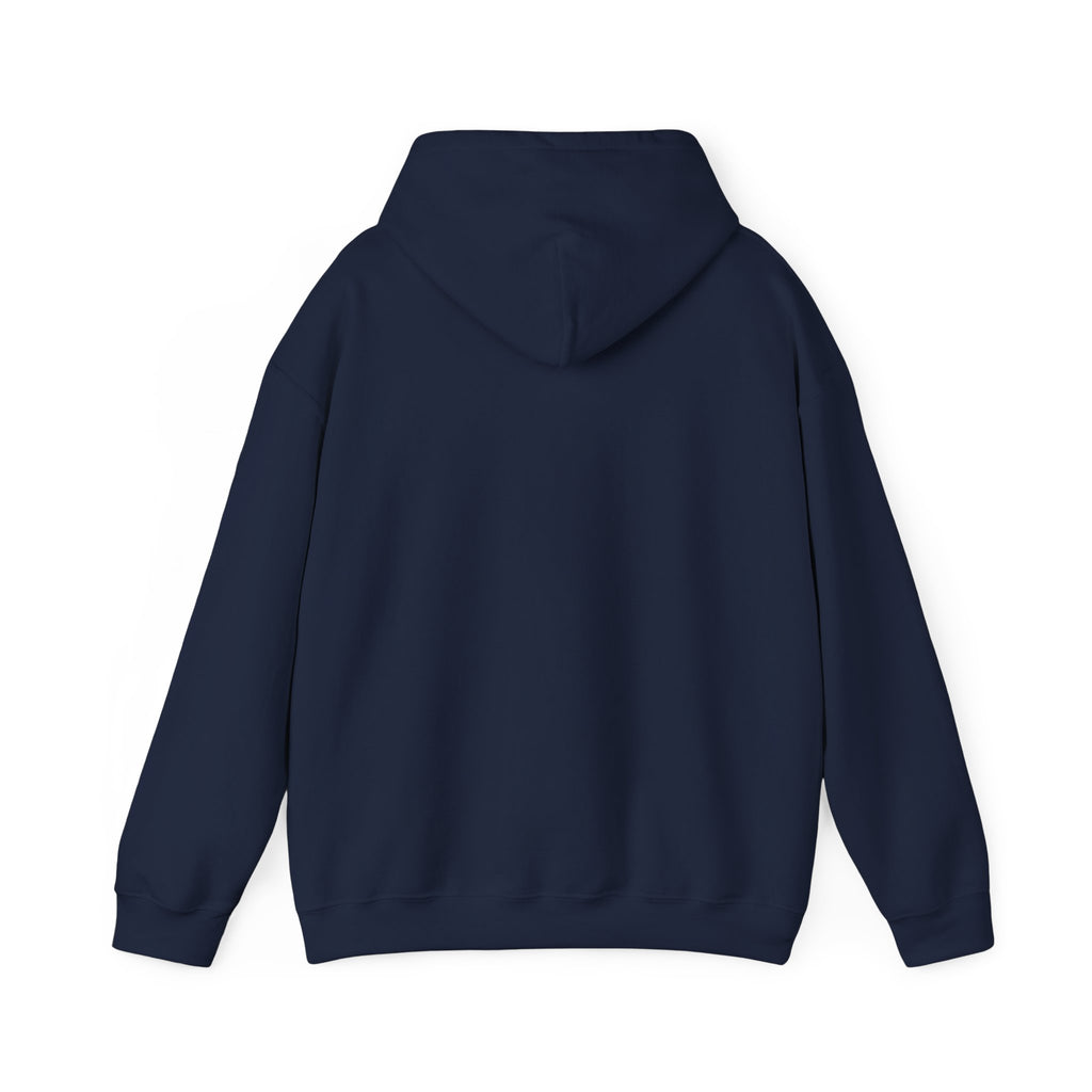 Faith & Freedom Patriotic Hoodie | Faith-based July 4th, Vintage Americana