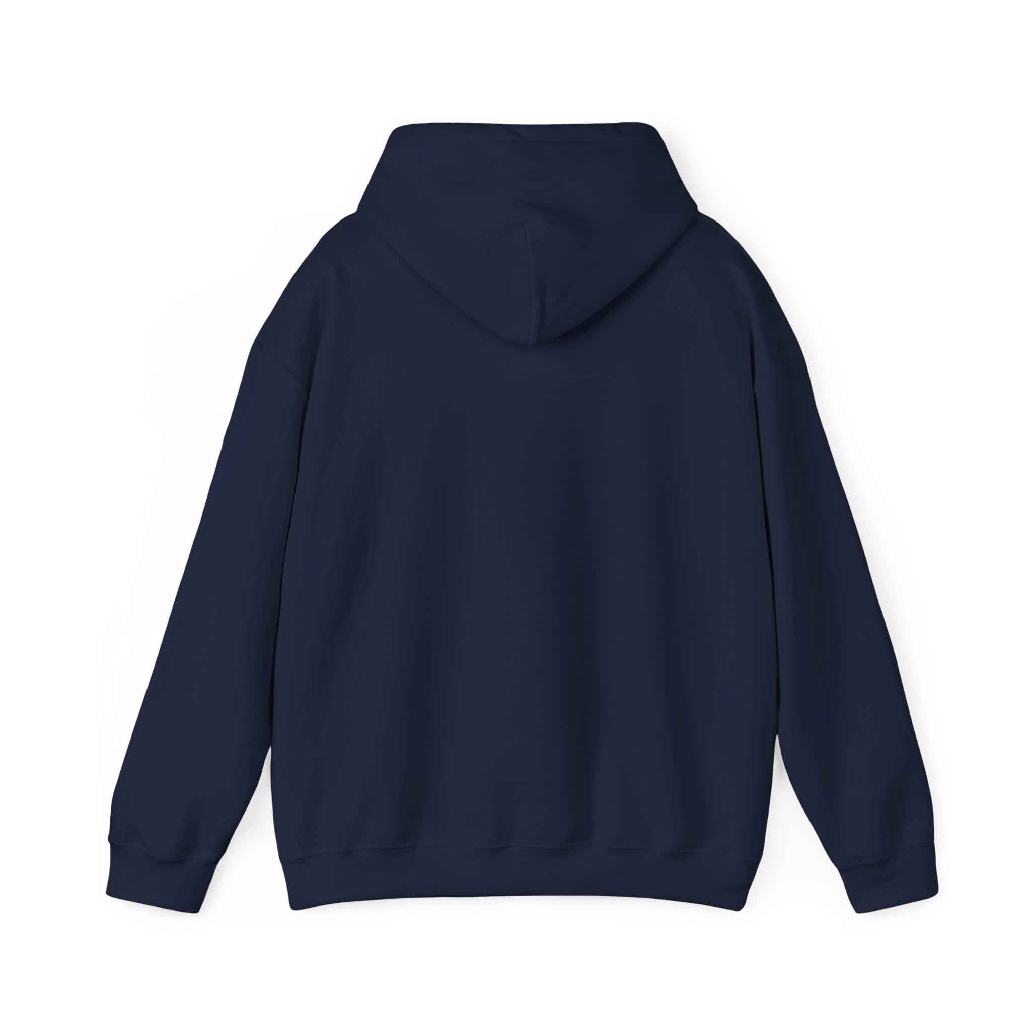 Faith & Freedom Patriotic Hoodie | Faith-based July 4th, Vintage Americana
